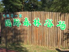 -广州市石门国家森林公园