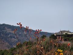 -香山公园
