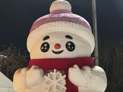 -沈阳奥体冰雪嘉年华