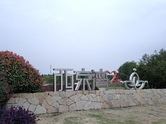 -西京湾花海