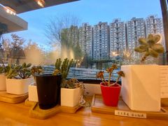 -Cafe Villa