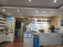 -千城康桥宠物医院CT影像·骨科·心脏专科中心(厚街分院)