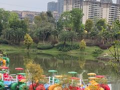 -枫香湖儿童公园