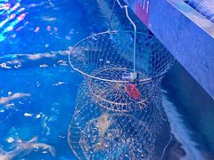 单人钓虾-钳真多钓虾馆·小龙虾海鲜烧烤(九六广场店)