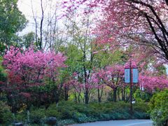 -杭州半山国家森林公园