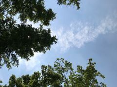 -南翔镇银翔湖公园