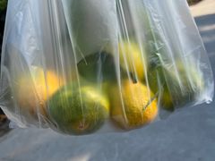 -前小桔亲子创意农场·草莓采摘·露营烧烤