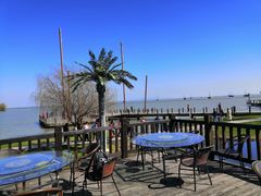 -天和楼·精致太湖酒家(太湖店)