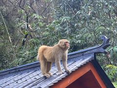 -武当山风景区