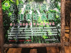-日照海滨国家森林公园