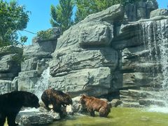 -北京野生动物园