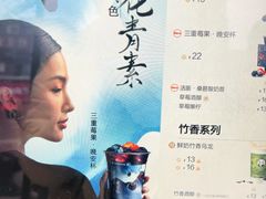 -茶百道(蔡锷北路店)