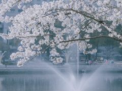 -西北湖绿化广场