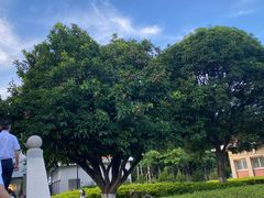 -厦门大学(思明校区)