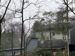 -中国大熊猫保护研究中心雅安碧峰峡基地