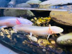 -Zoolung Zoolung动物主题公园(海信广场店)