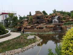 -武清南湖绿博园