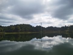 -海南热带雨林国家公园吊罗山景区