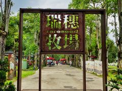 -瑞穗牧场