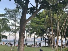 -深圳湾公园(南山区)