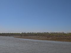 -伊犁河景区