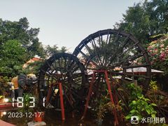 -品德宏·孔雀宴的发源地(金塔园店)