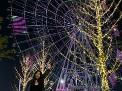 -南昌之星摩天轮