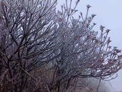 -萍乡武功山风景名胜区