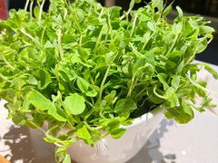 -浩爷羊蝎子火锅(望京店)