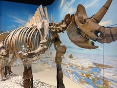 -国家自然博物馆