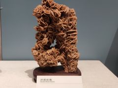 -柳州白莲洞洞穴科学博物馆