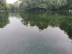 -百脉泉景区