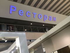 -谢列梅捷沃国际机场