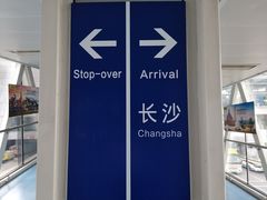 -肖胖子猪油拌粉