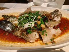 清蒸笋壳鱼-博多新记·粤菜(复兴店)
