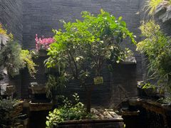 -顺德渔村·岭南一号