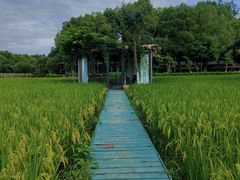 -洪湖家庭农场·团建·露营·会议