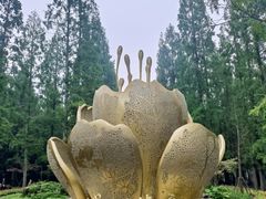 -东平国家森林公园