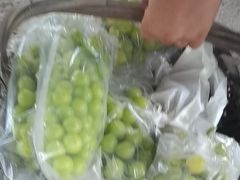 -马陆小张葡萄园农家乐