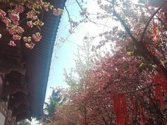 -西安青龙寺遗址景区