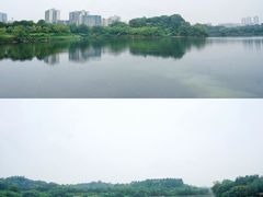 -广东花都湖国家湿地公园