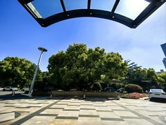 -上海兴国宾馆香樟园西餐厅