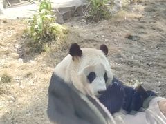 -武汉动物园