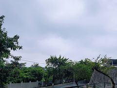 -老幺泉水鸡