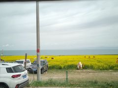 -青海湖国家重点风景名胜区