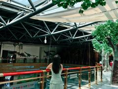 -安徽省地质博物馆