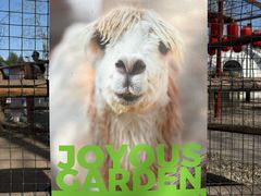 -禧宴Joyous Restaurant(禧园店)
