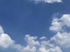 -大益烤鸡