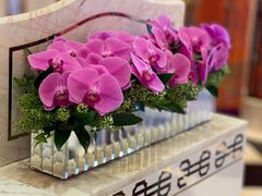 -咖啡苑 - 蔚藍夏日限定主题(永利皇宫店)