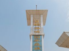 -日照海滨国家森林公园